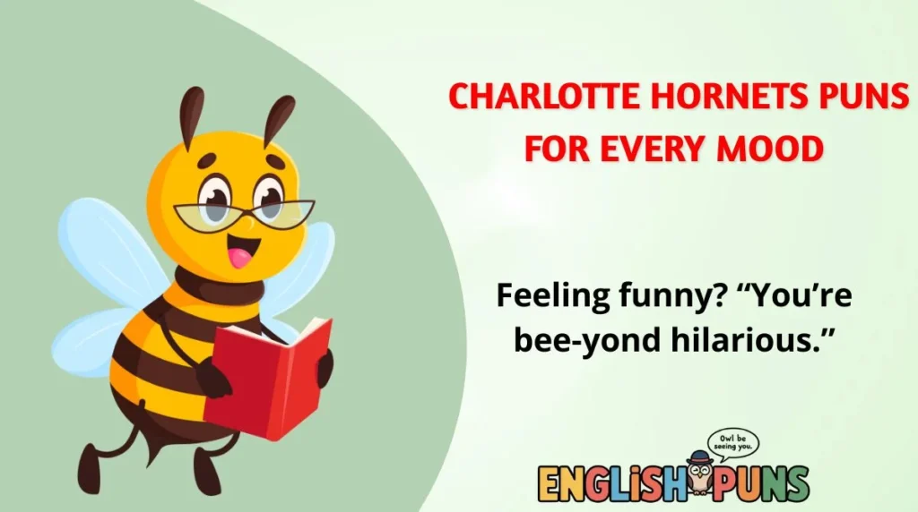 Charlotte Hornets Puns for Every Mood