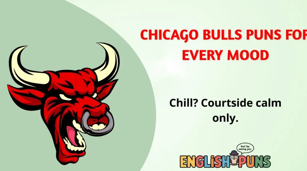 Chicago Bulls Puns for Every Mood