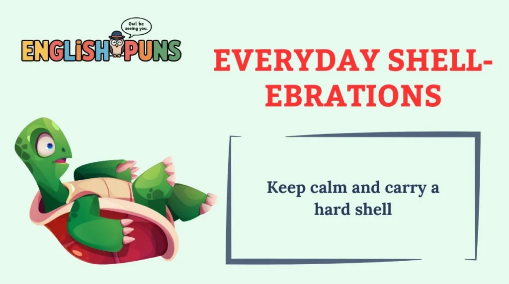 Everyday Shell-ebrations