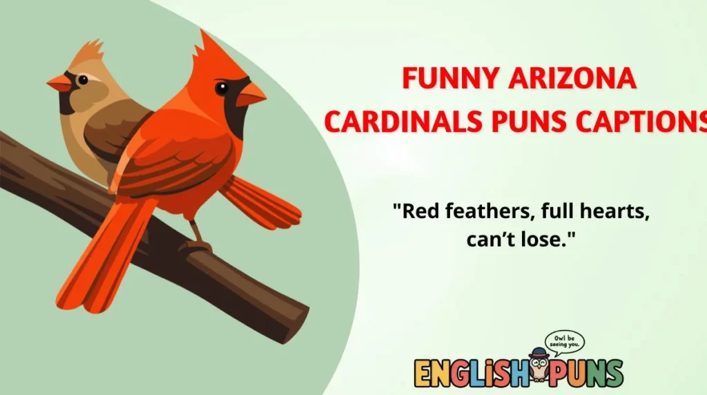 Funny Arizona Cardinals Puns Captions