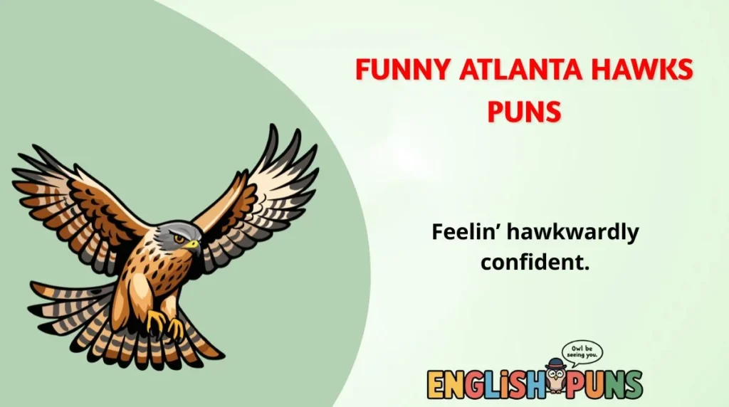 Funny Atlanta Hawks Puns
