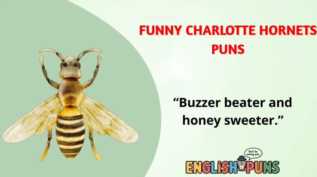 Funny Charlotte Hornets Puns