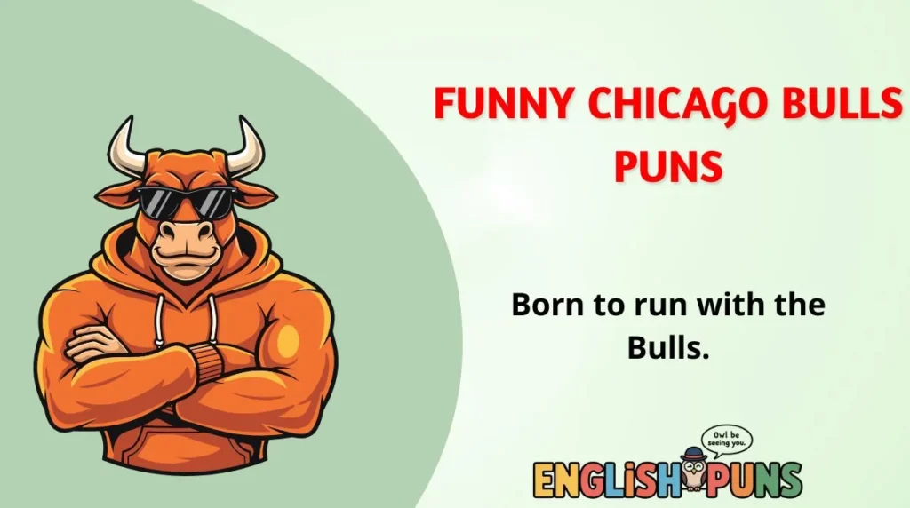 Funny Chicago Bulls Puns