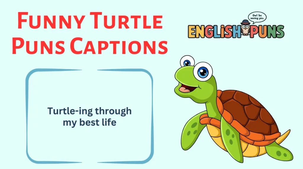 Funny Turtle Puns Captions