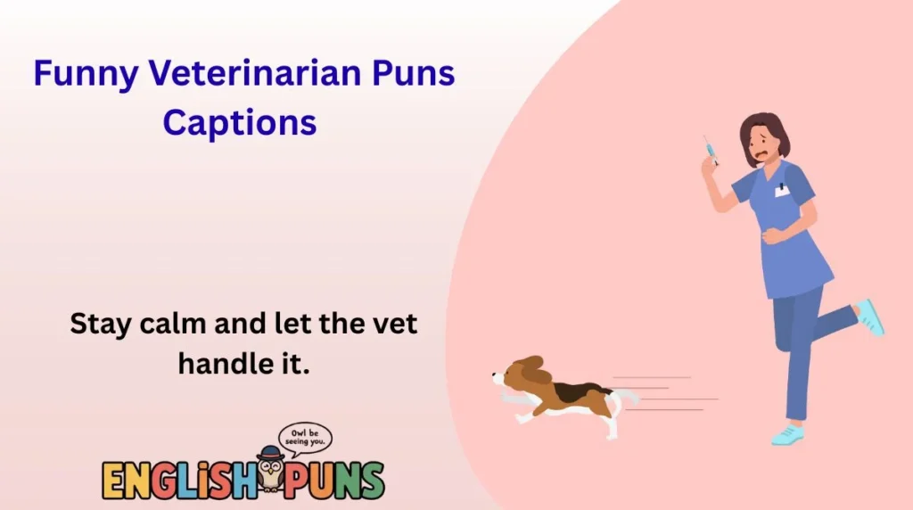Funny Veterinarian Puns Captions