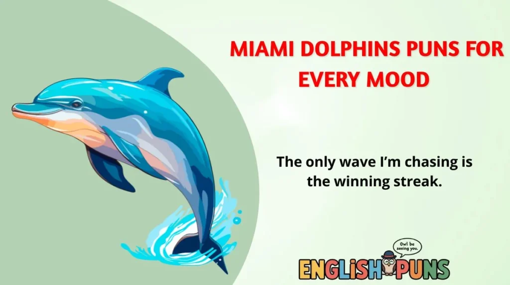 Miami Dolphins Puns for Every Mood