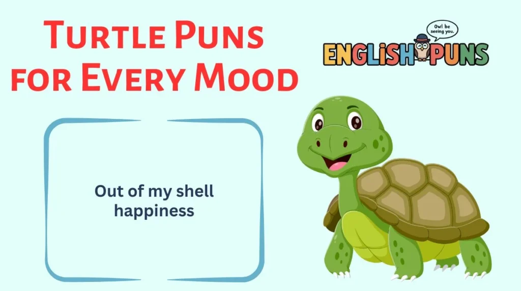 Turtle Puns for Every Mood