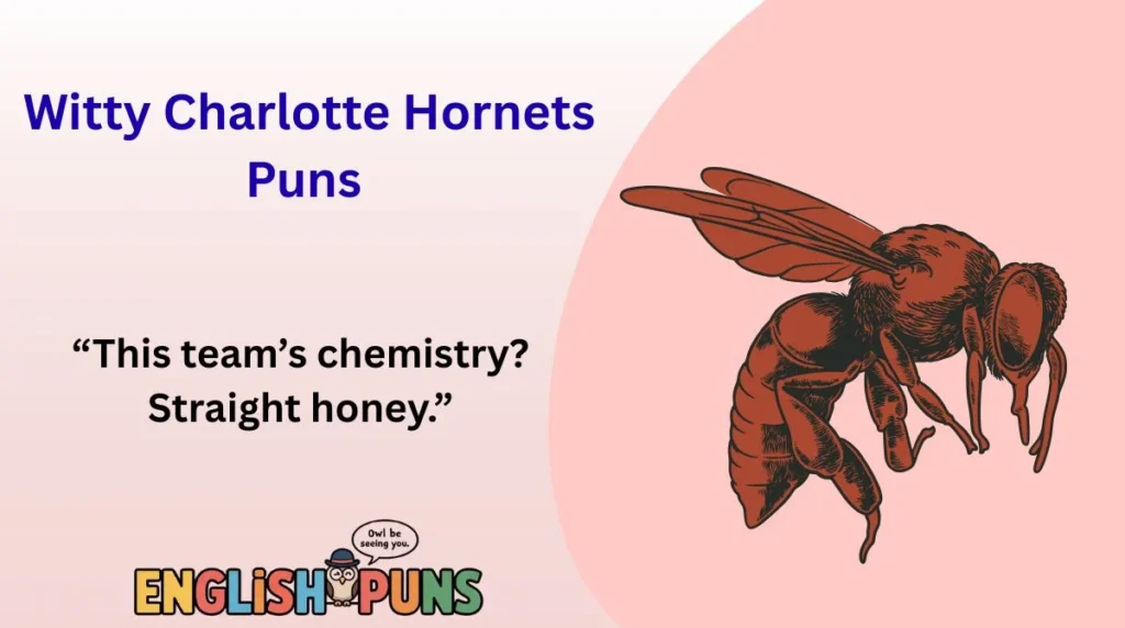 witty-charlotte-hornets-puns