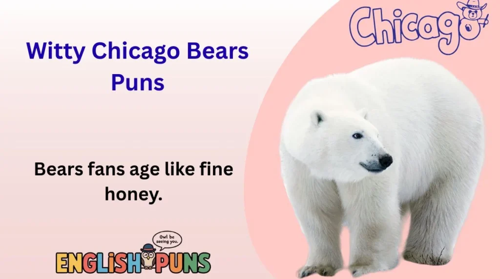 Witty Chicago Bears Puns