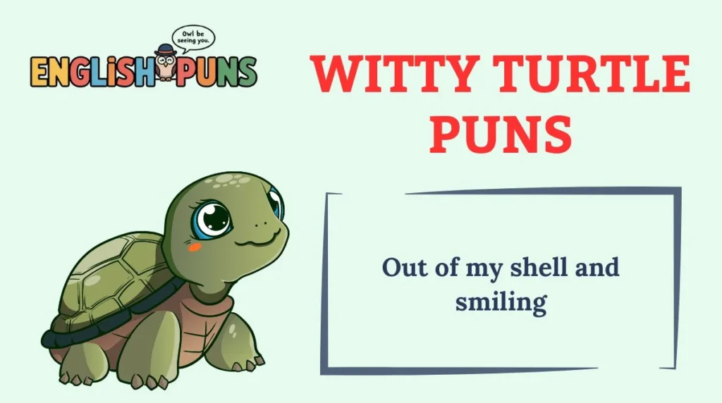 Witty Turtle Puns