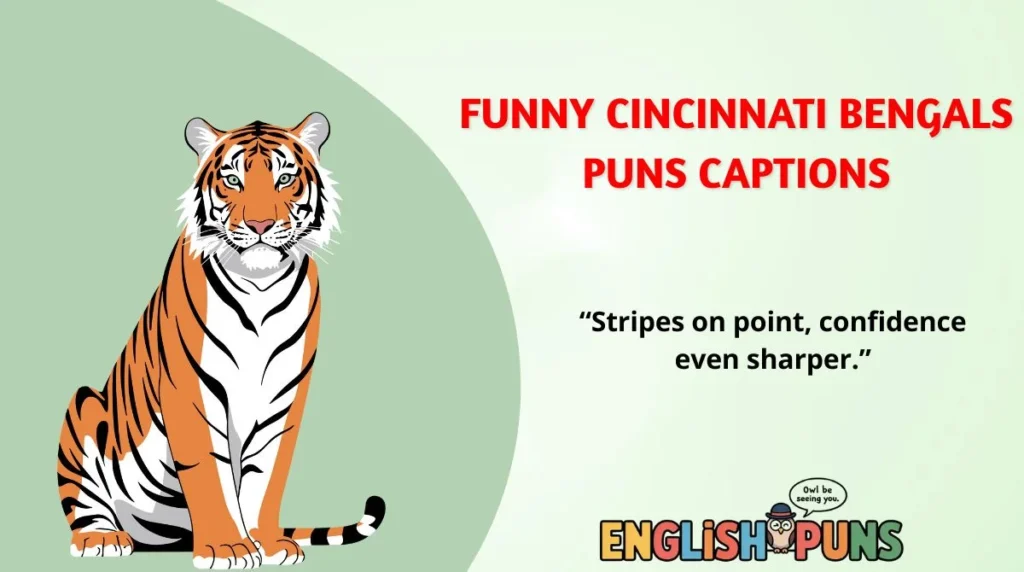🐅 Funny Cincinnati Bengals Puns Captions