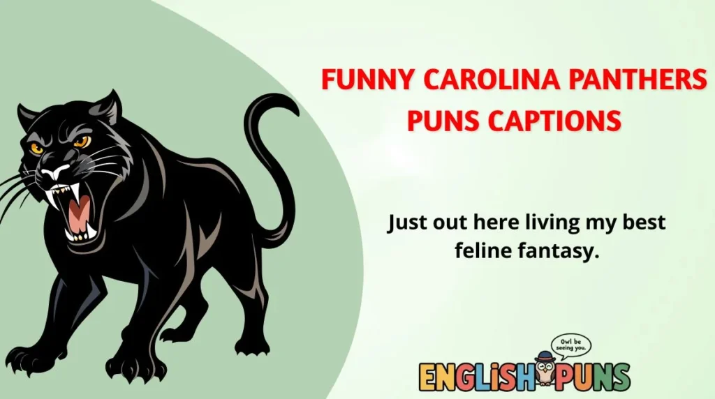 🐾 Funny Carolina Panthers Puns Captions