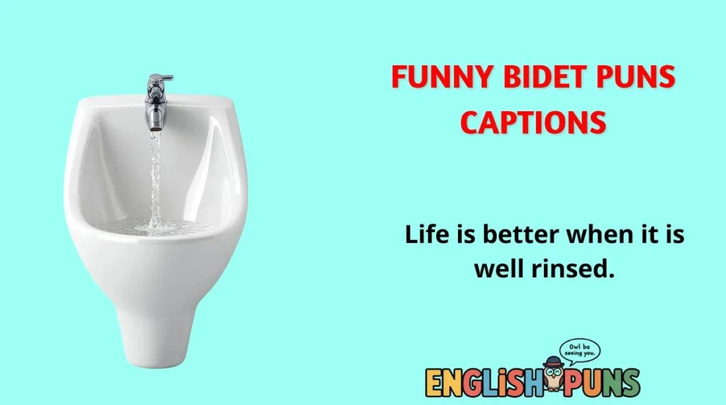 Funny Bidet Puns Captions
