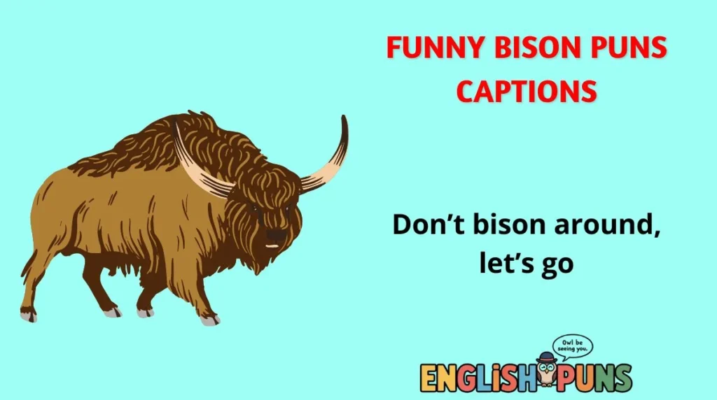 Funny Bison Puns Captions
