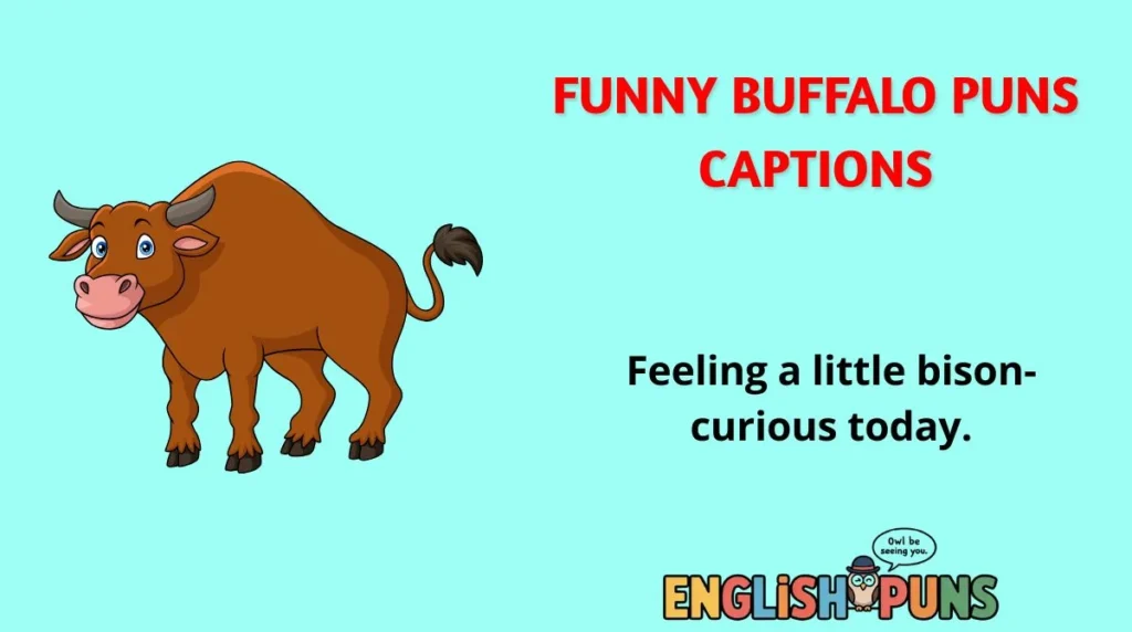 Funny Buffalo Puns Captions