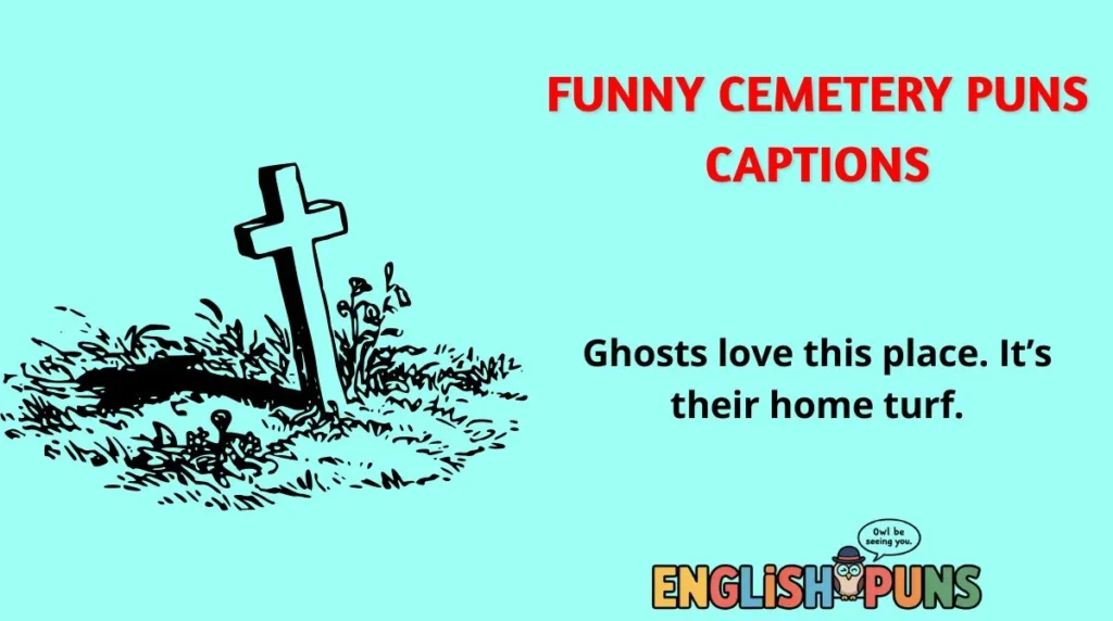 Funny Cemetery Puns Captions