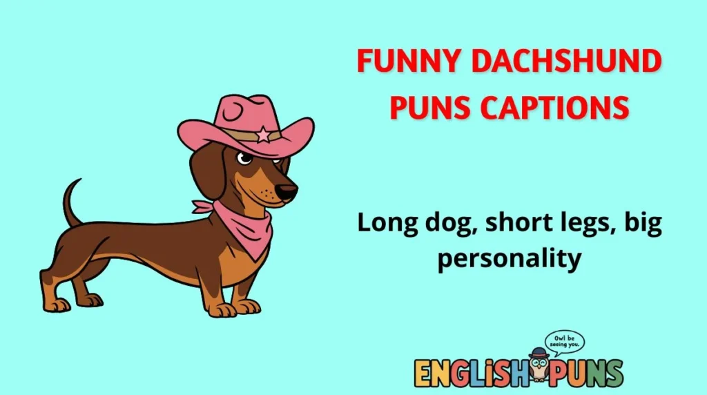 Funny Dachshund Puns Captions