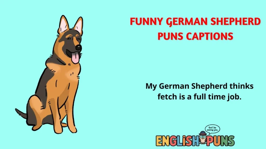 Funny German Shepherd Puns Captions