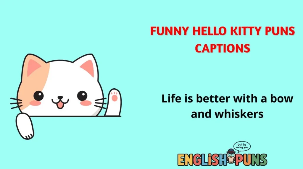 Funny Hello Kitty Puns Captions