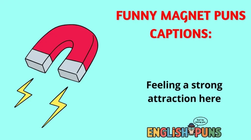 Funny Magnet Puns Captions: