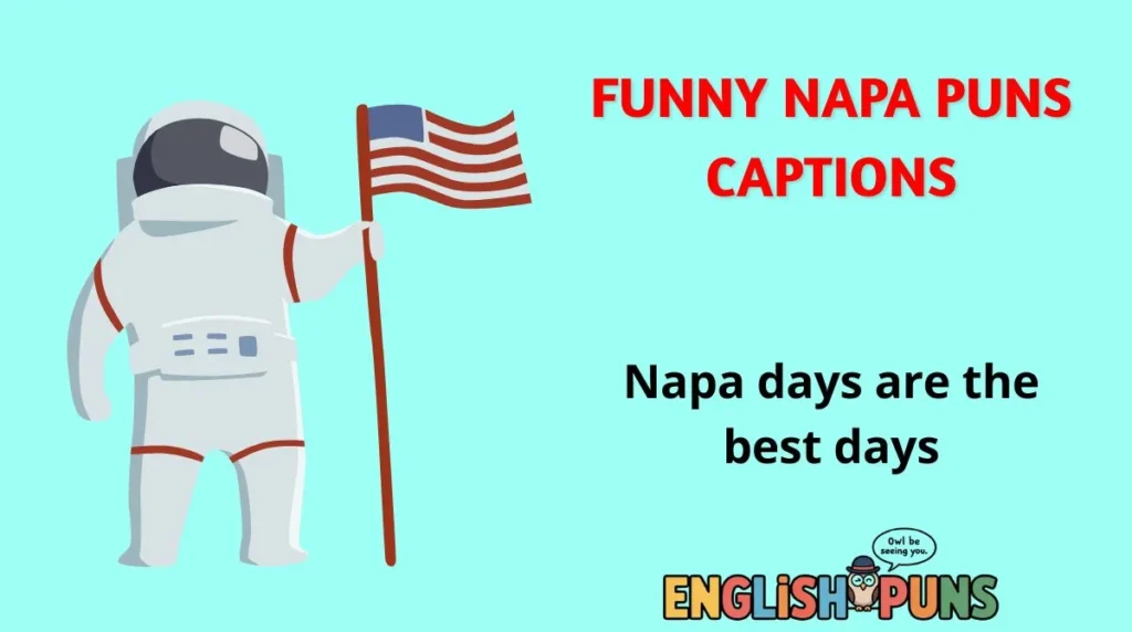 Funny Napa Puns Captions