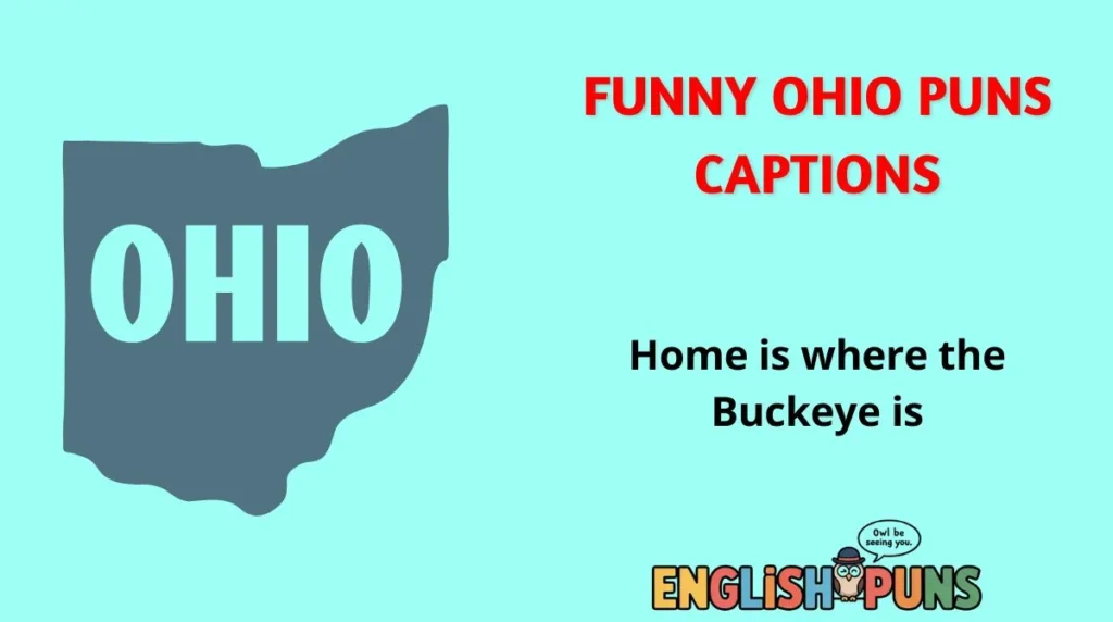 Funny Ohio Puns Captions
