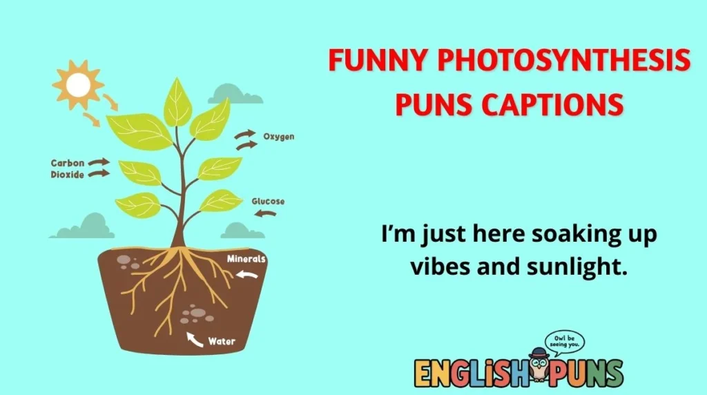 Funny Photosynthesis Puns Captions