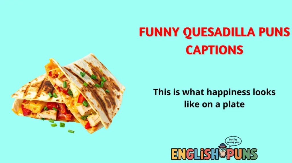 Funny Quesadilla Puns Captions