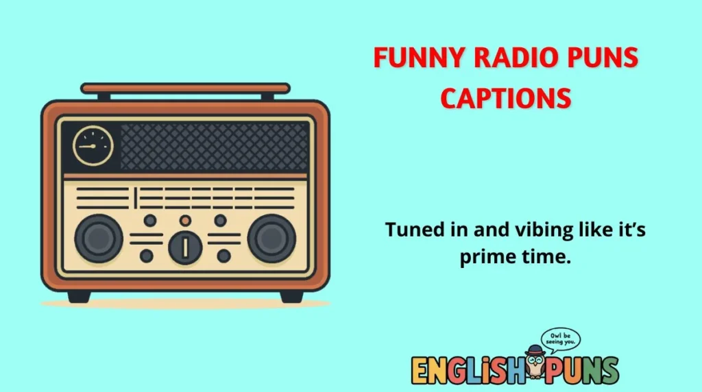 Funny Radio Puns Captions