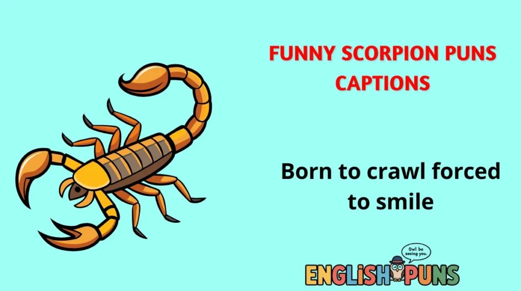 Funny Scorpion Puns Captions
