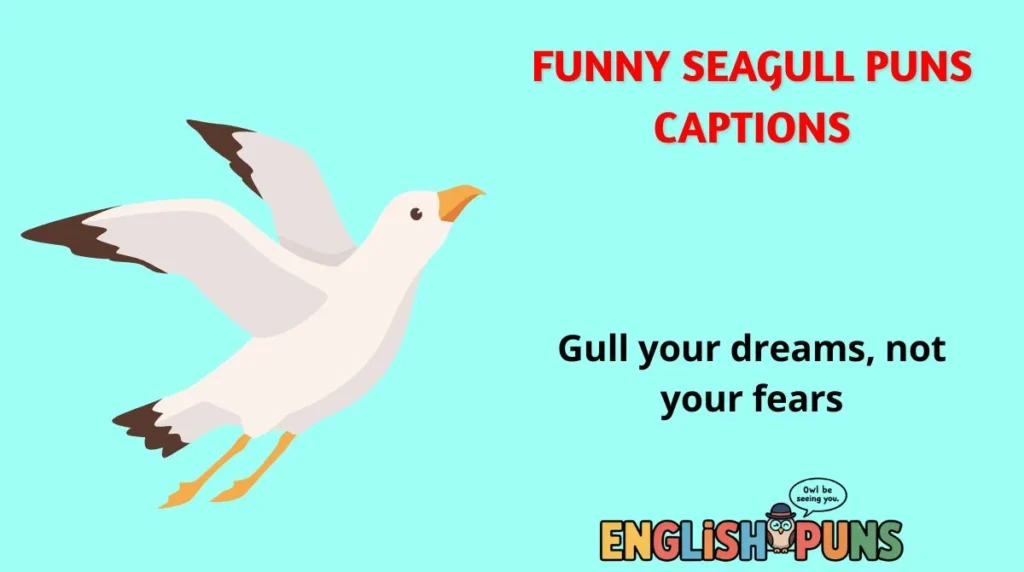 Funny Seagull Puns Captions