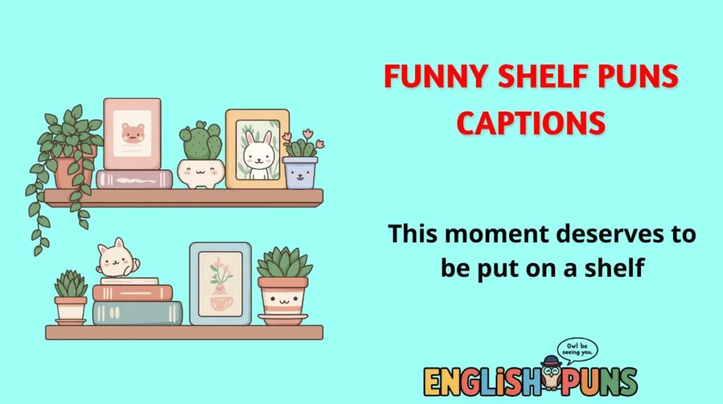 Funny Shelf Puns Captions