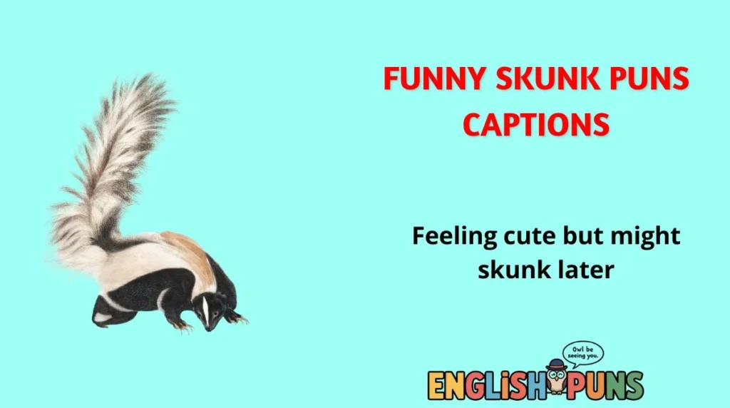 Funny Skunk Puns Captions