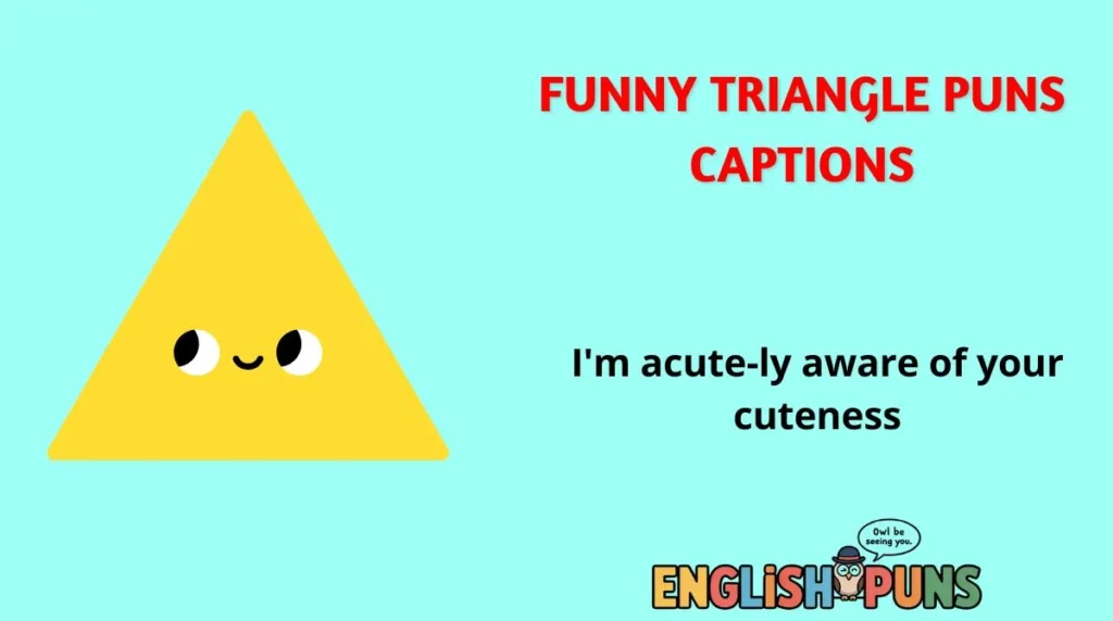 Funny Triangle Puns Captions