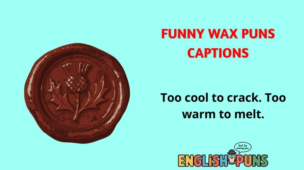 Funny Wax Puns Captions