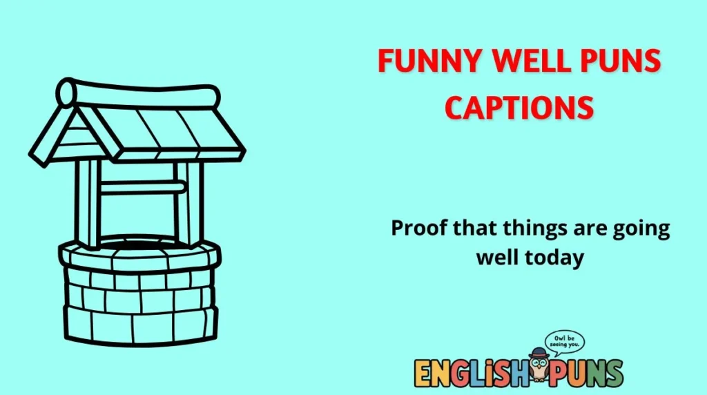 Funny Well Puns Captions