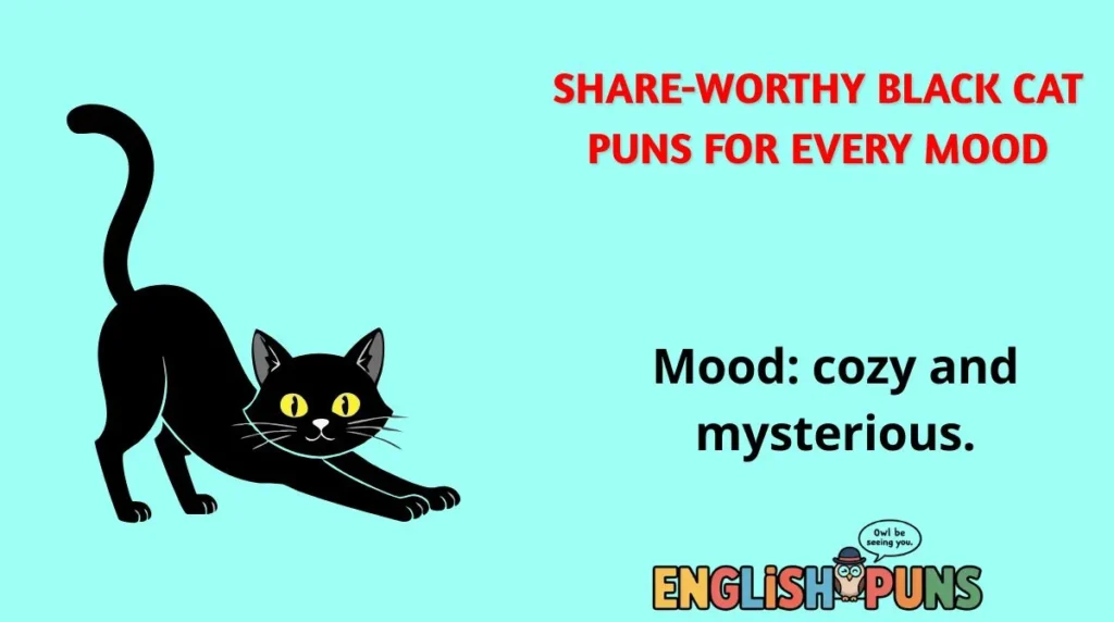 Share-Worthy Black Cat Puns for Every Mood