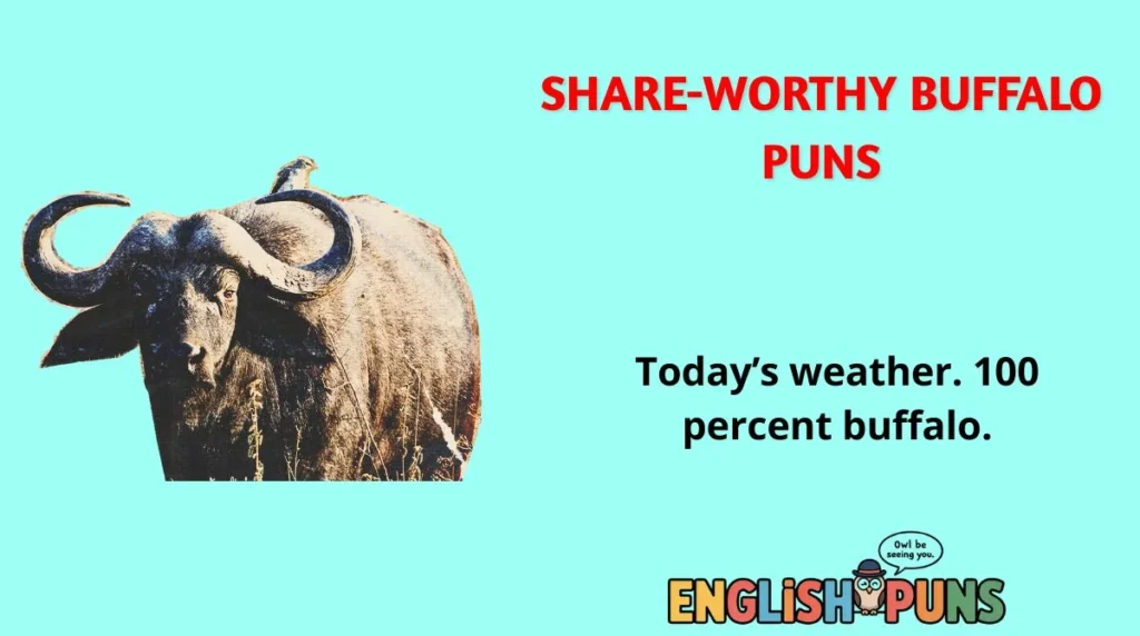 Share-Worthy Buffalo Puns