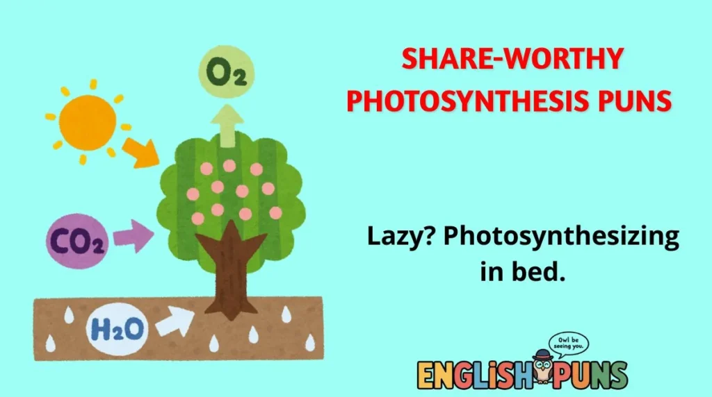 Share-Worthy Photosynthesis Puns