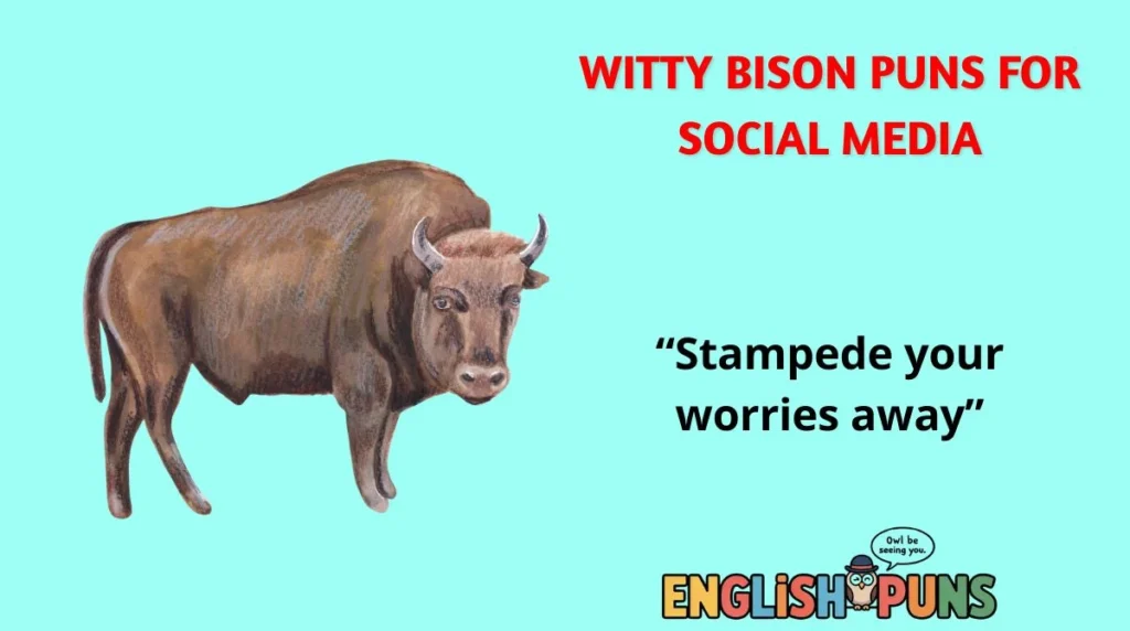 Witty Bison Puns for Social Media