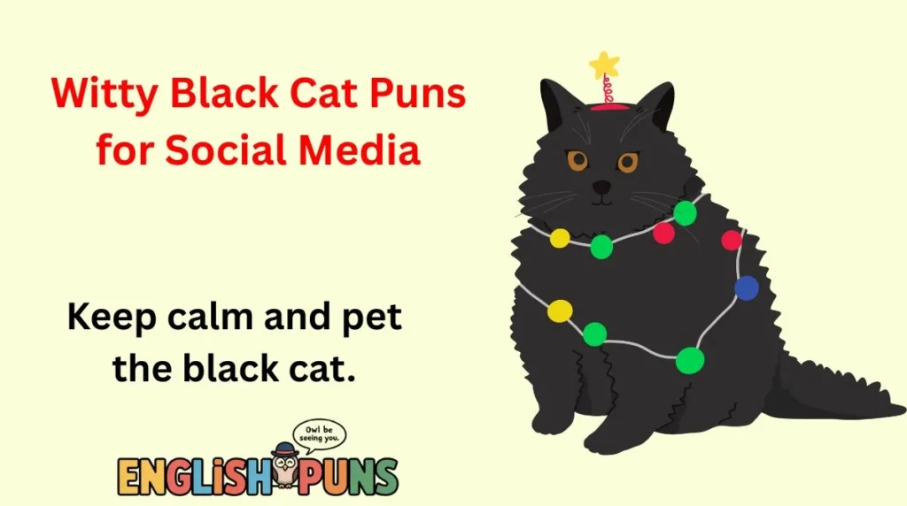 Witty Black Cat Puns for Social Media
