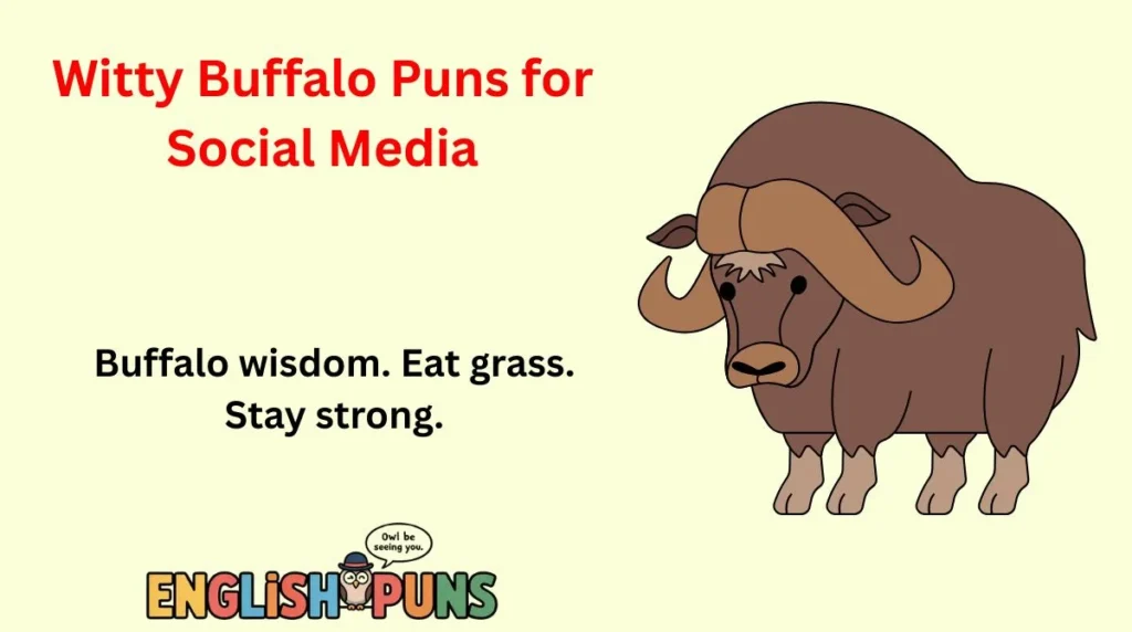 Witty Buffalo Puns for Social Media