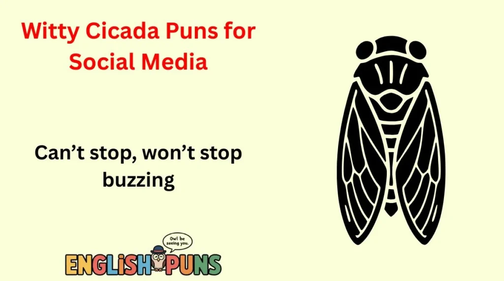 Witty Cicada Puns for Social Media