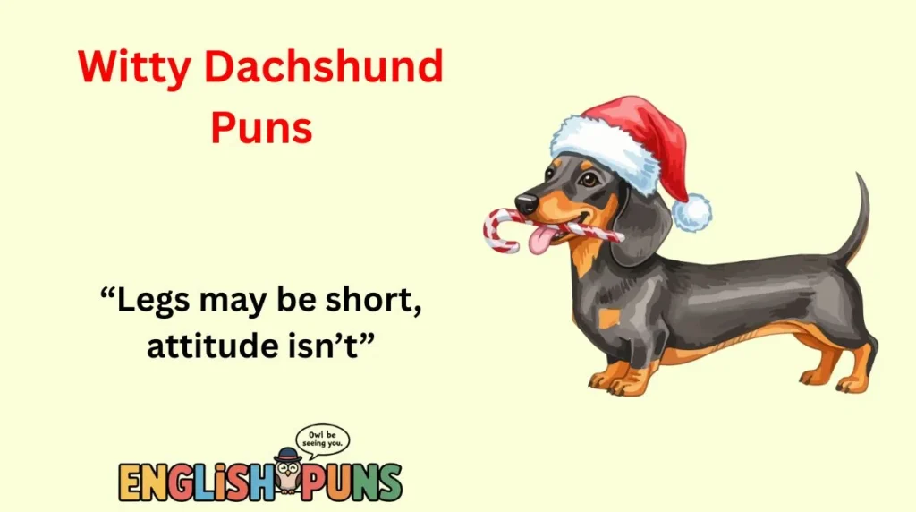 Witty Dachshund Puns