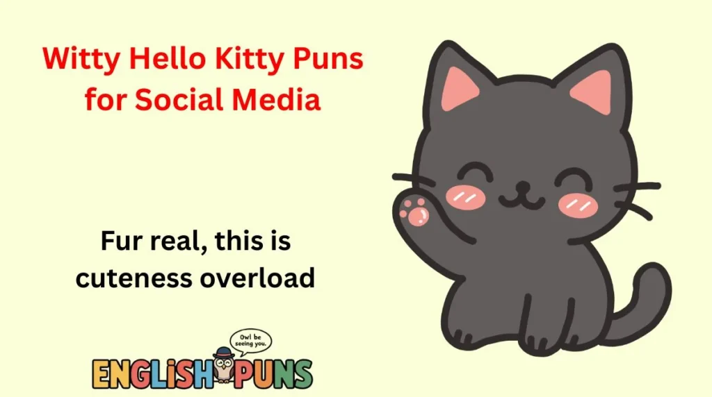 Witty Hello Kitty Puns for Social Media