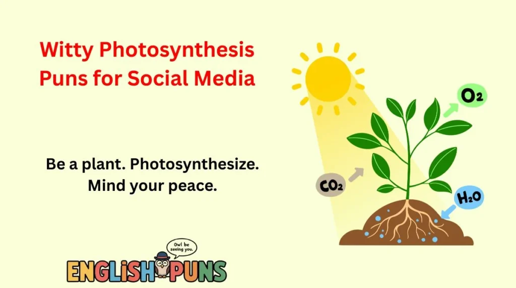 Witty Photosynthesis Puns for Social Media
