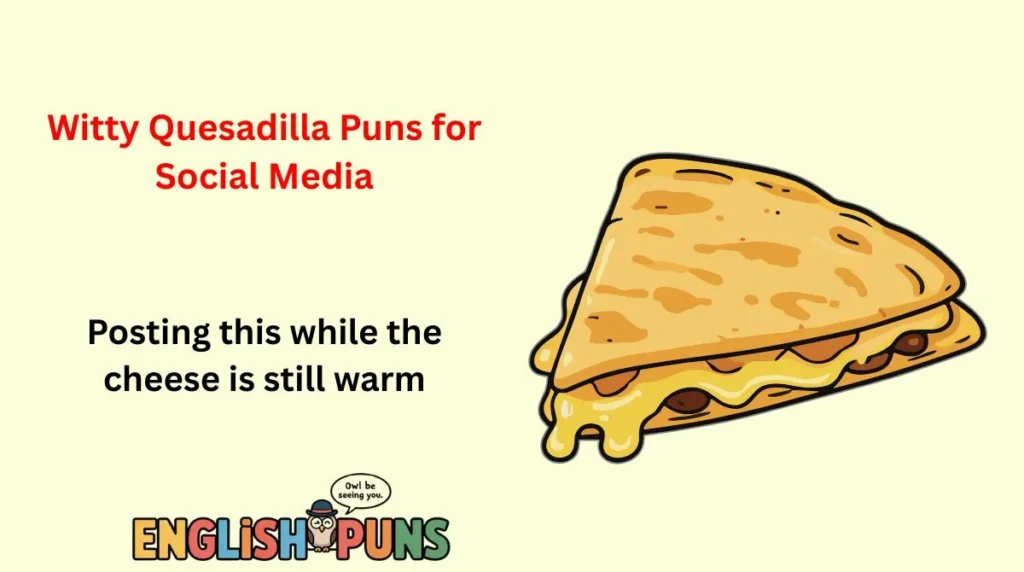 Witty Quesadilla Puns for Social Media