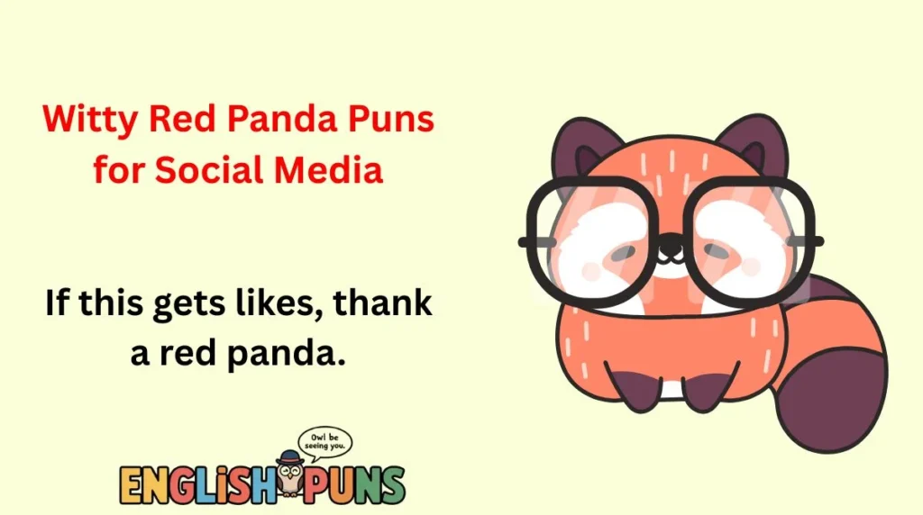 Witty Red Panda Puns for Social Media