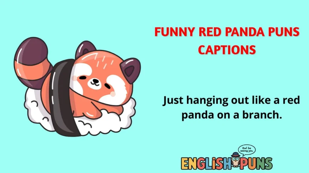🔹 Funny Red Panda Puns Captions