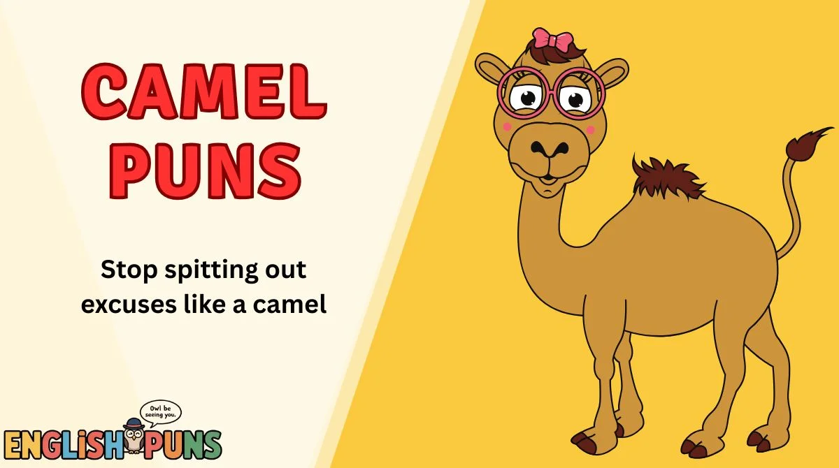 Camel Puns